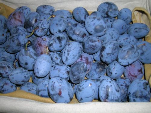 a pile of blueberries sitting on a table at I Costanti in Caldiero