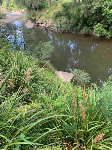 a river with grass and a path in front of it at Williams River Retreat in Dungog