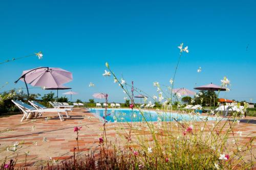 卡奧萊的住宿－Agrimargherita，一个带两把椅子和遮阳伞的游泳池