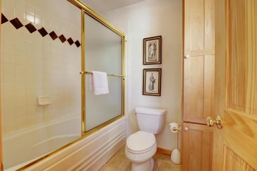 a bathroom with a toilet and a shower at 172 Sauterne Sanctuary Townhouse in Silverthorne