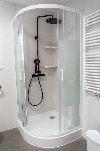 a shower with a glass enclosure in a bathroom at Domek u Basi in Czorsztyn