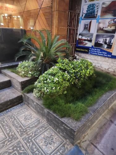 a couple of plants in front of a building at Hotel Blue Residency in Nāgercoil