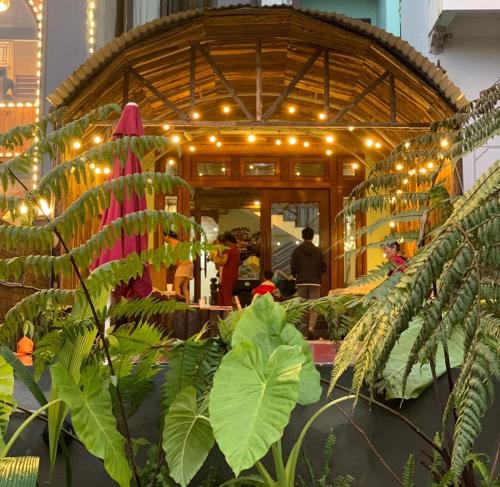 a room with a bunch of plants and lights at Thanh Truc House in Sa Pa