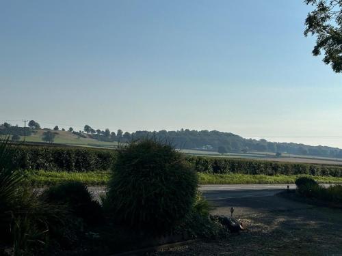a view of a road and a field with a tree at Shropshire Guestroom in Wolverhampton