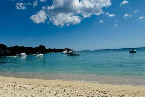 a group of boats in the water on a beach at La Passerelle des Empereurs in Albion
