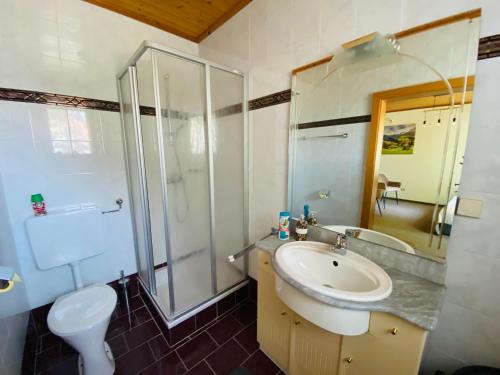 a bathroom with a sink and a shower and a toilet at Gasthof Frasswirt in Frass