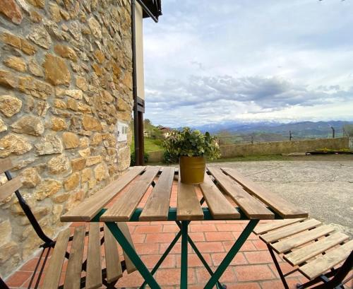 a wooden picnic table with a potted plant on it at Vivienda Vacacional La Macona in Infiesto
