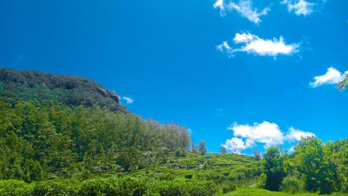 a green hillside with trees and a blue sky at The Mount Lodge in Nuwara Eliya