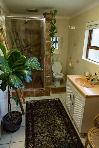 a bathroom with a shower and a toilet and a sink at Sionsberg Farmstay in Riversdale