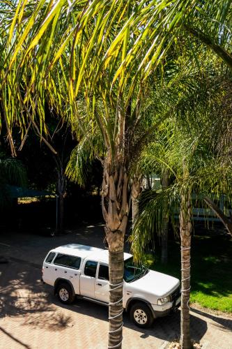 a white car parked next to a palm tree at STAY In TEHAMA in Cape Town