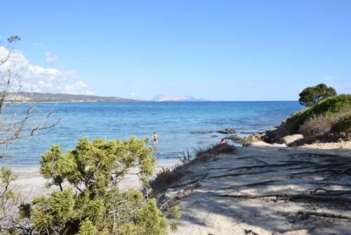 Φυσικό τοπίο κοντά σε αυτό το διαμέρισμα
