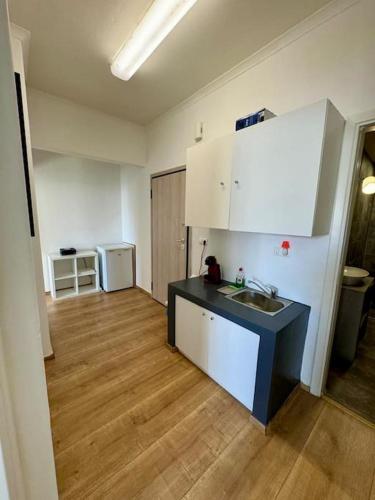 Sani Entire Flat near Syntagma Square