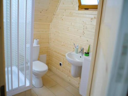 łazienka z toaletą i umywalką w obiekcie Czocha Palace&Czocha Camping - OR Czocha w mieście Leśna