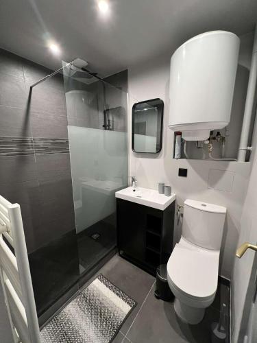 a bathroom with a shower and a toilet and a sink at Suite CinéRoom à 25 min de Paris in Franconville