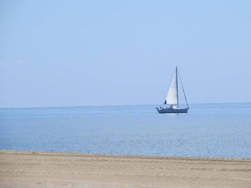 a sail boat in the water with a beach at Confortable T2 + Cabine face à la mer 4BALM39 in Le Barcarès