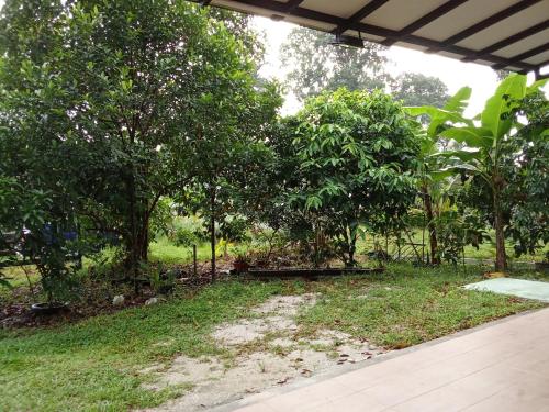 Κήπος έξω από το Homestay Kampung Sungai Sekamat Kajang Selangor