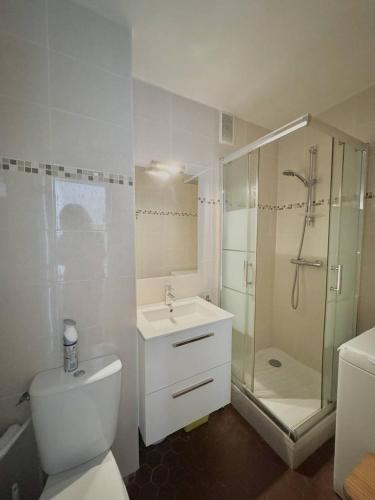 une salle de bain avec une douche, des toilettes et un lavabo dans l'établissement Accès direct plage - parking privé - appartement 4 personnes 4MIR7BAT8, au Barcarès