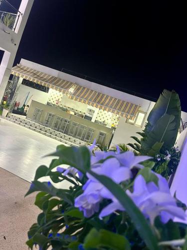 a group of purple flowers in front of a building at Résidence Turpin in Toubab Dialaw