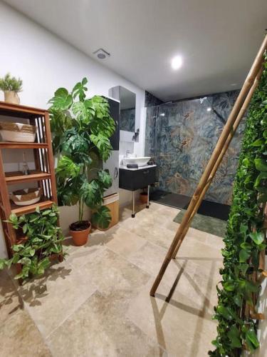 OFFRE SPECIALE Jungle Centre ville