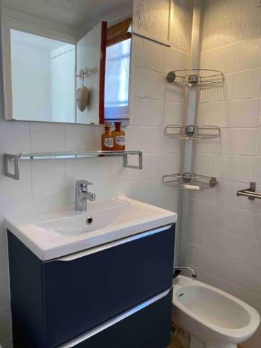 une salle de bain avec un lavabo et des toilettes dans l'établissement Marseillan plage 5pers proche plage climatisé, à Marseillan