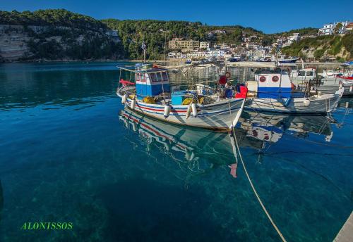 Gallery image of Alonissos Luxury Villa with Jacuzzi and Beach in Agios Dimitrios