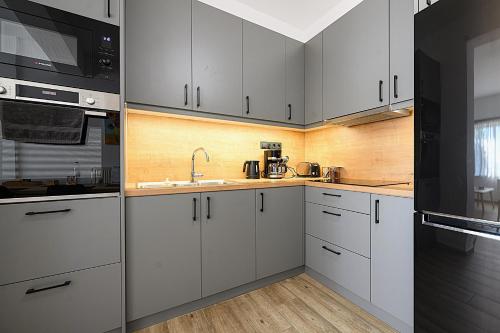 Dapur atau dapur kecil di Alexander Apartments Airport