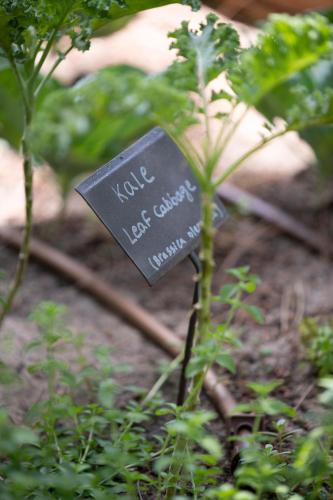 a sign on a plant in a garden at Sublime Comporta Country Retreat & SPA in Comporta