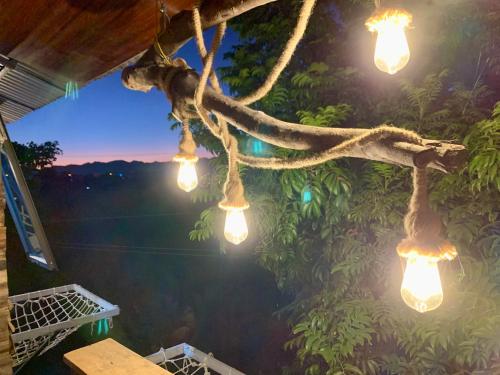 a group of lights hanging from a tree at A Thía homestay in Diện Biên Phủ