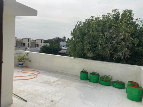 a row of potted plants on a white wall at Thiruveesar Family Homestays in Tiruchchirāppalli