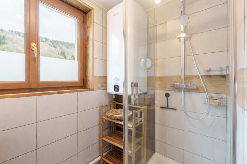 La salle de bains est pourvue d'une douche et d'une fenêtre. dans l'établissement Les Jonquilles - 3 chambres et garage privé, à Cornimont