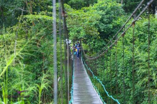 a suspension bridge in the jungle with people on it at Clio Ella Adventure in Ella
