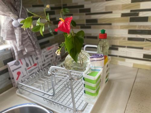 a flower in a vase sitting in a dish rack at Fish Eagle Place in Durban