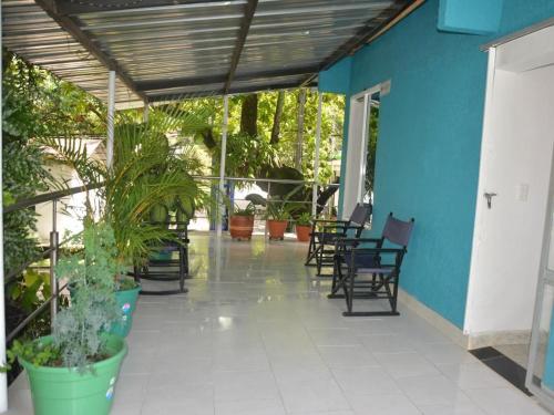 a patio with chairs and plants and a blue wall at HOTEL Casa Real in Rivera