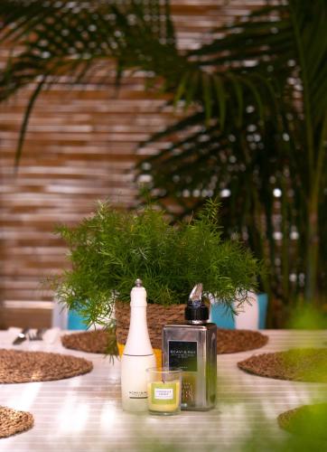 Κήπος έξω από το INN Mallorca Aparthotel