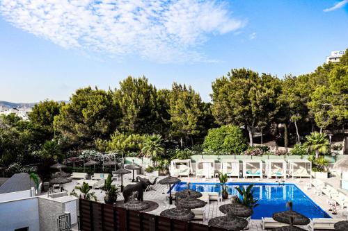 Πισίνα στο ή κοντά στο INN Mallorca Aparthotel
