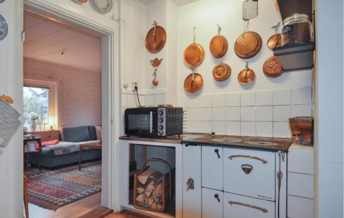 cocina con fogones y microondas en la pared en Gorgeous Home In Hova With Wifi, en Hova