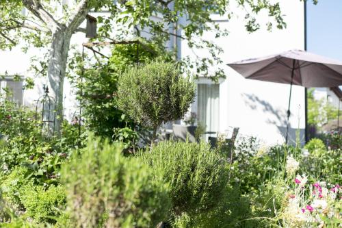 a garden with an umbrella and some plants at Ferienwohung Traumgarten in Obereisenheim