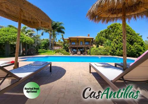 TESS CasAntillas, con sabor a Las Antillas