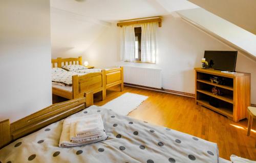 a bedroom with two beds and a television in it at Nice Home In Karanac With Sauna in Karanac