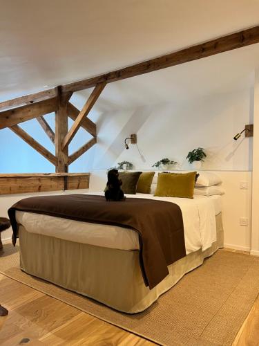 Castor Coquin Aubagne Cassis Aix en Provence