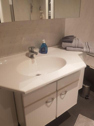 a bathroom sink with a bottle of soap on it at Ferienwohnung Weserperle in Nordenham