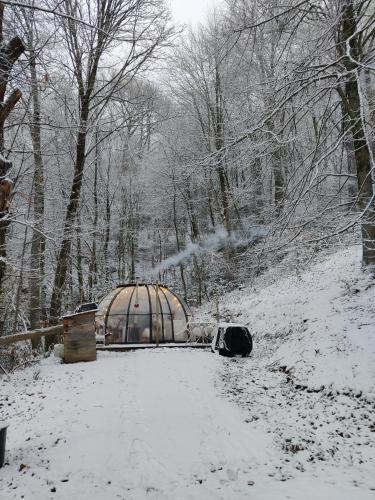 a greenhouse in the snow in a forest at Le Perchoir des Pyrénées in Gerde