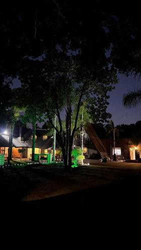 a tree in the middle of a park at night at STAY In TEHAMA in Cape Town