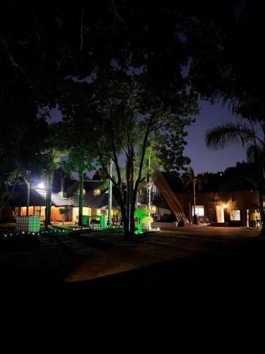 a tree in the middle of a park at night at STAY In TEHAMA in Cape Town