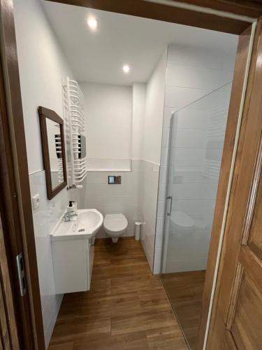 ein Badezimmer mit Toilette, Waschbecken und Dusche in der Unterkunft Ośrodek Wypoczynkowy Maria w Lewinie Kłodzkim - MARIA I in Lewin Kłodzki