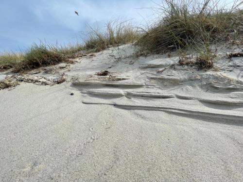 Φυσικό τοπίο κοντά σε αυτό το διαμέρισμα