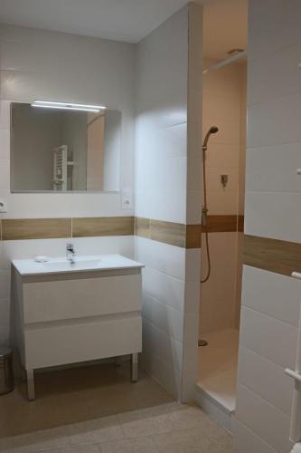 une salle de bain avec un lavabo et une douche dans l'établissement Maison de village sur Donzère, à Donzère