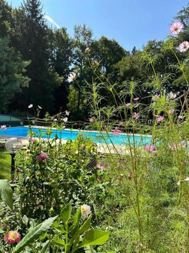 un jardin fleuri en face d'une piscine dans l'établissement Villa Kaliazo - Riverfront Alpaca Experience, à Arnaud-Guilhem