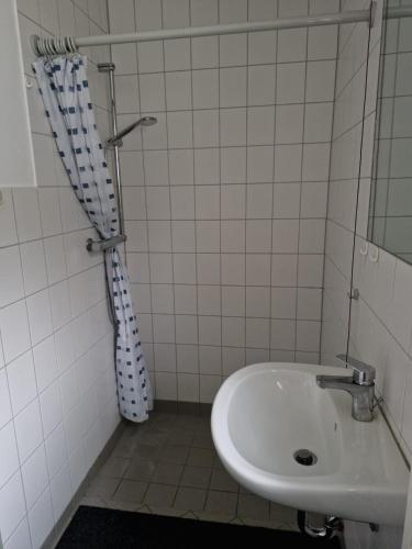 a bathroom with a sink and a shower at Landidyll Monte Gristow in Mesekenhagen