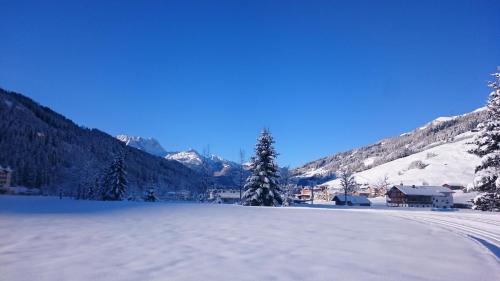 a snow covered field with trees and a mountain at Hotel Sportalm in Gerlos